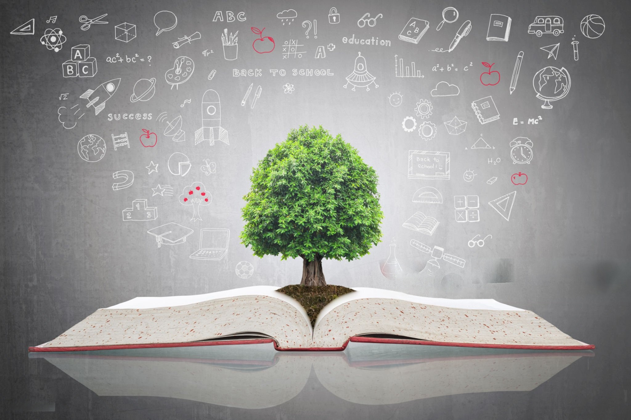 wmremove transformed (8)